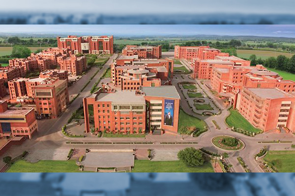 aminity-university